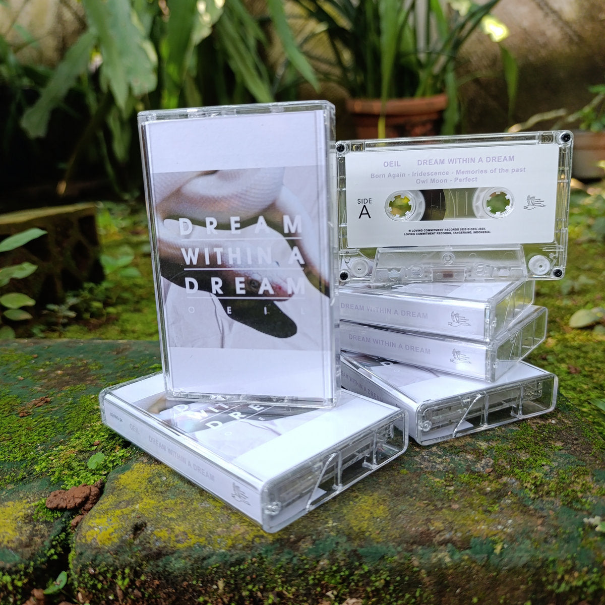 Dream Within a Dream (LP/CD/TAPE)