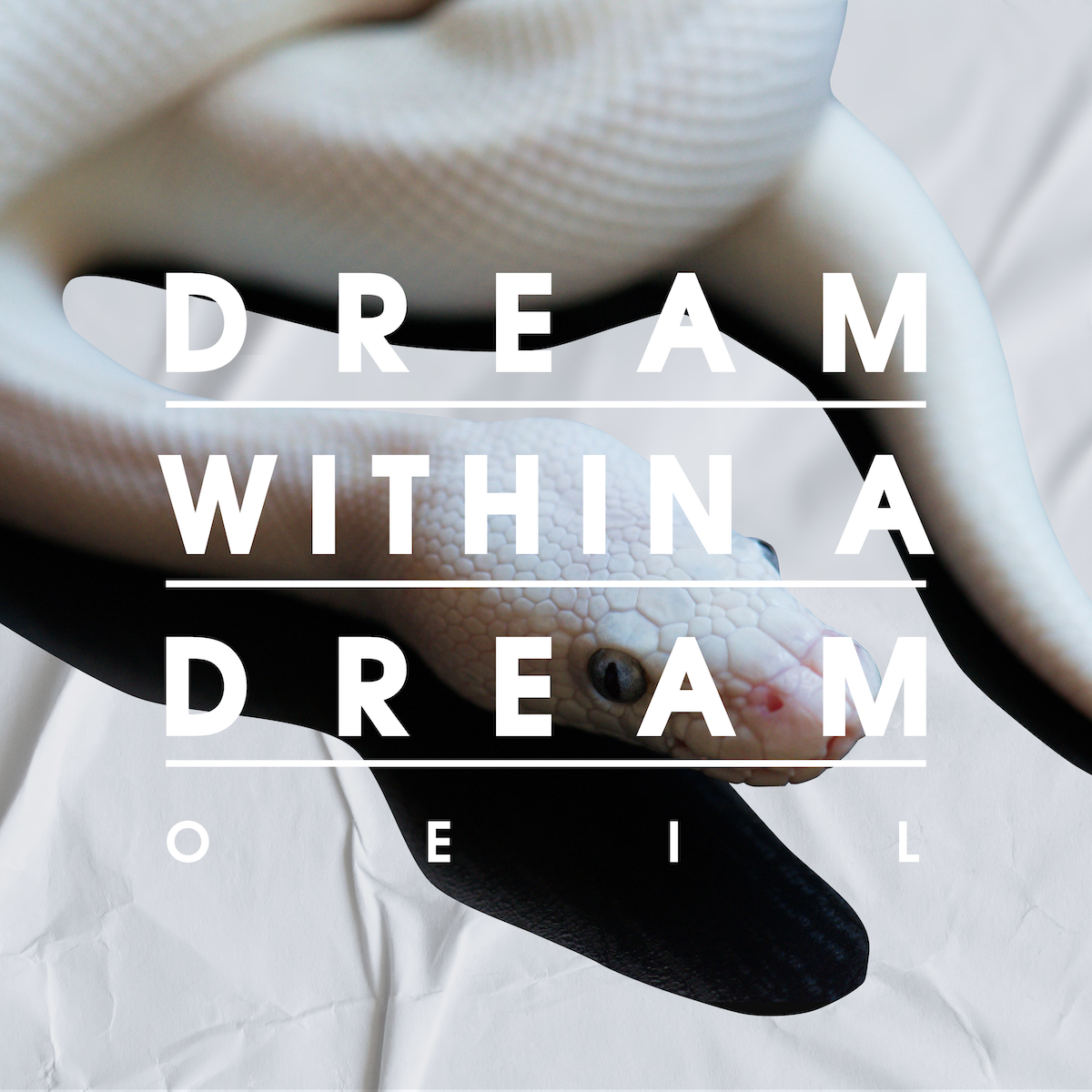 Dream Within a Dream (LP/CD/TAPE)