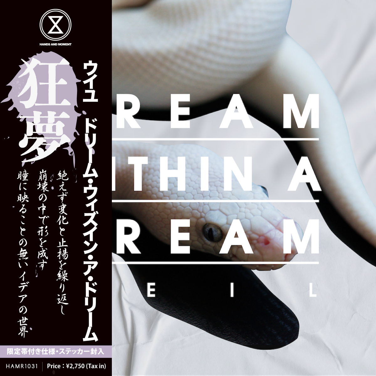 Dream Within a Dream (LP/CD/TAPE)
